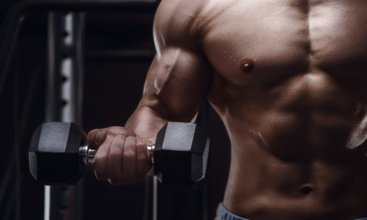 program de sală pentru masă musculară